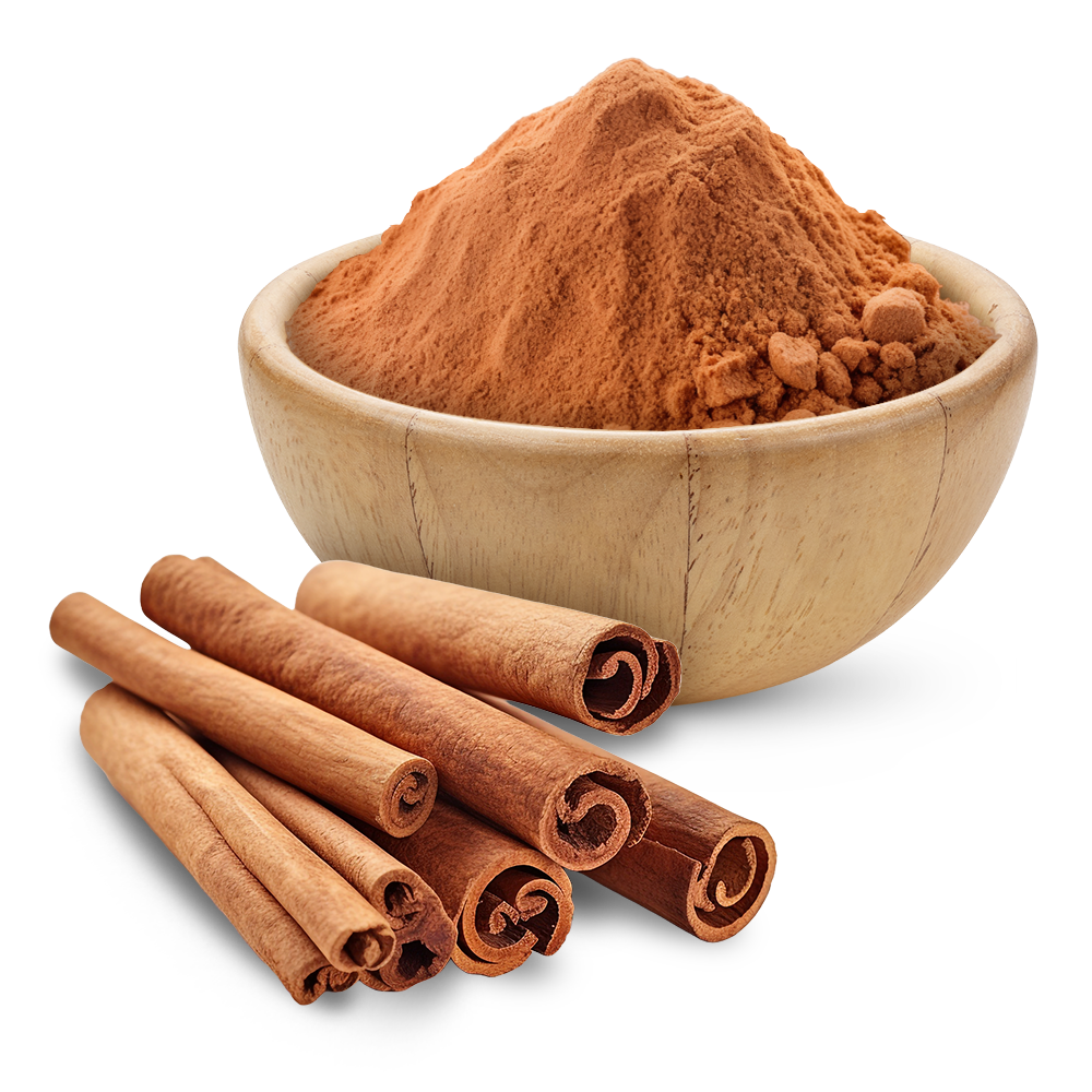 Indian spices cinamin powder