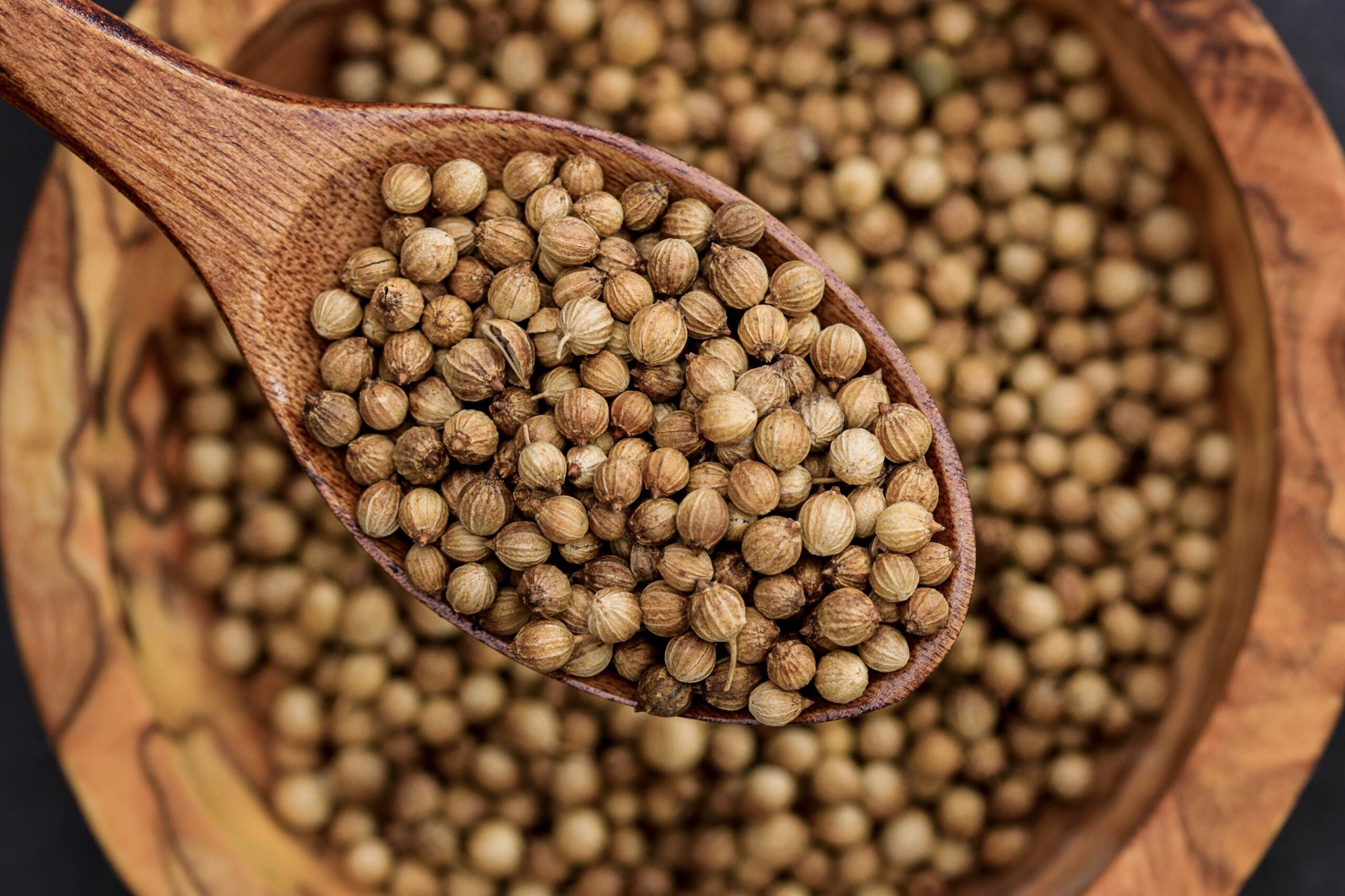Indian spices Detailed view of coriander seeds in a wooden spoon, emphasizing texture.