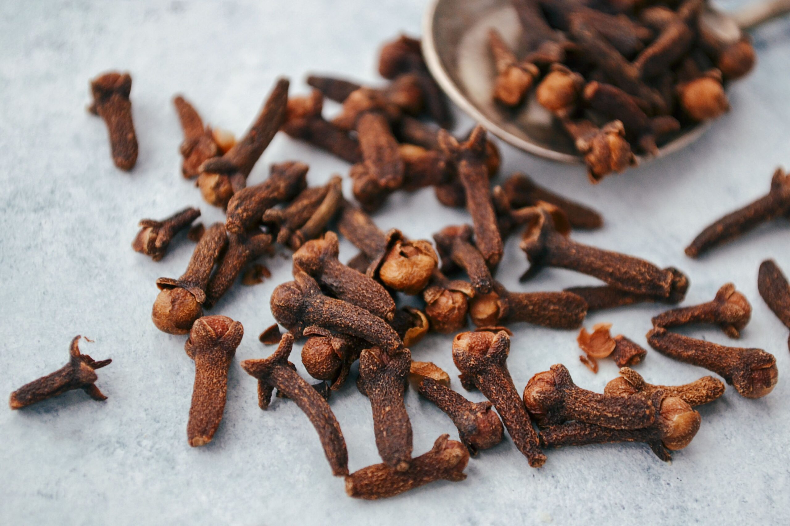 Indian spices A close-up image of aromatic dry cloves scattered on a spoon over a gray surface.