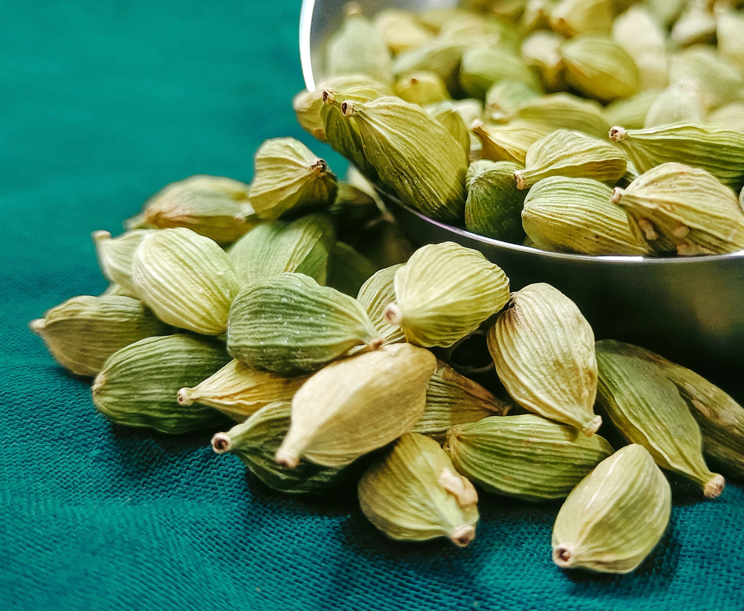 Indian spices A detailed close-up of fresh organic green cardamom pods on a textured surface.