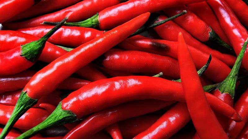 Indian spices red chilli